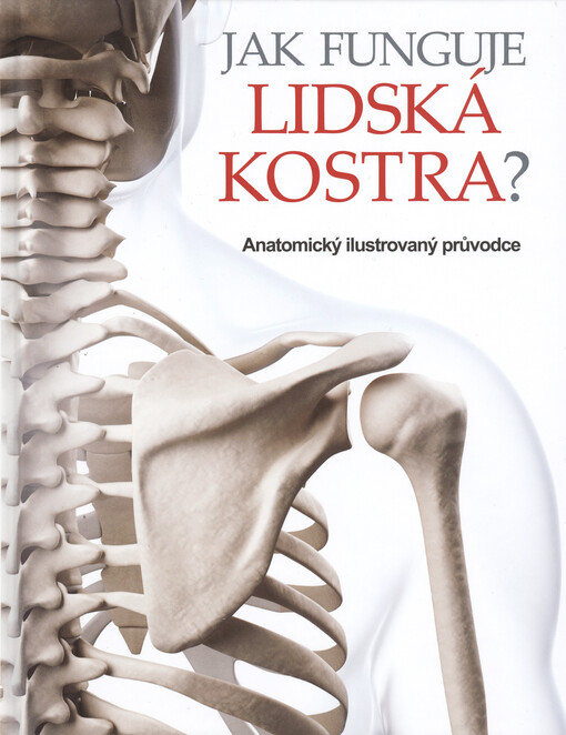 Jak funguje kostra?