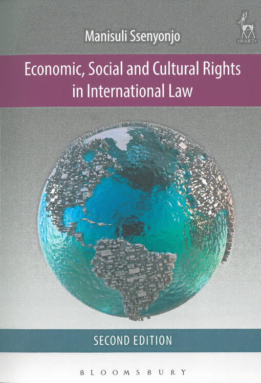 Economic, social and cultural rights in international law