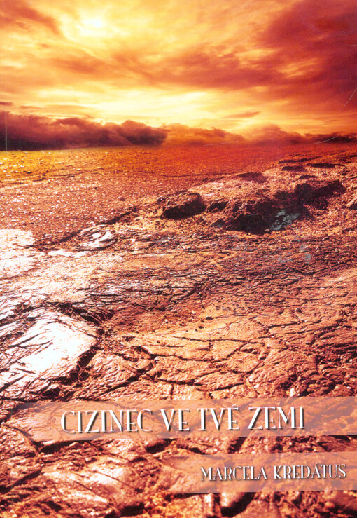 Cizinec ve Tvé zemi