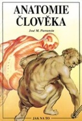 Anatomie člověka