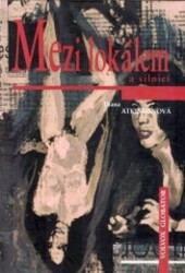 Mezi lokálem a silnicí