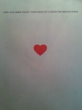 Chtěl bych sbírat kousky tvého srdce, až ti jednou pro někoho pukne