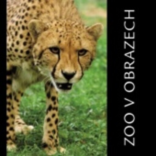 ZOO v obrazech