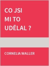 Co jsi mi to udělal?