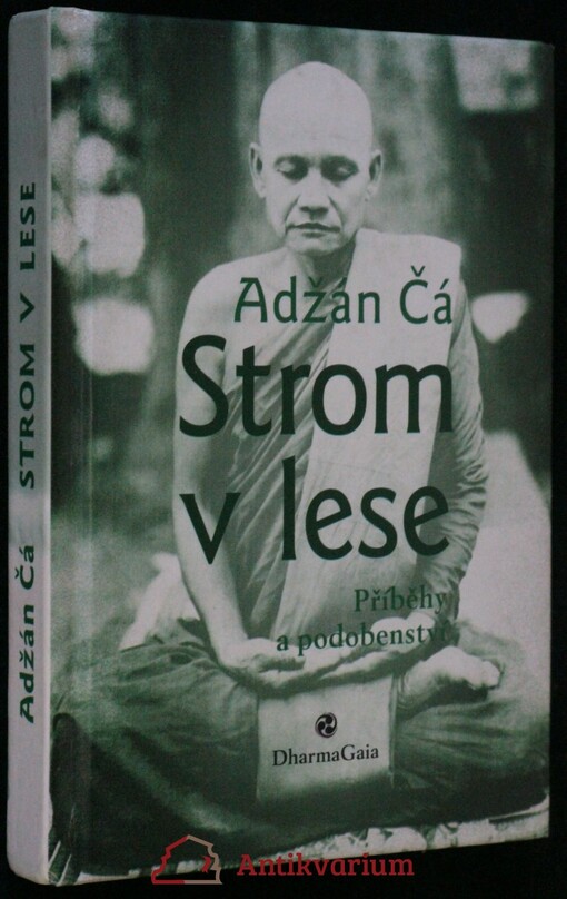 Strom v lese : příběhy a podobenství.
