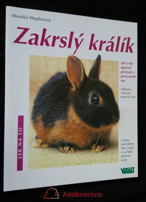 Zakrslý králík