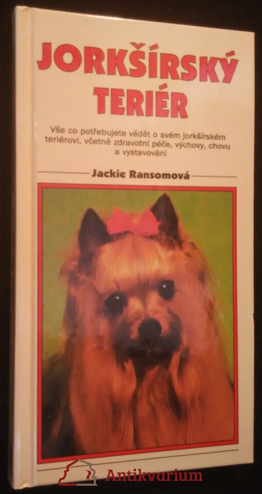 ![CDATA[Jorkšírský teriér]]