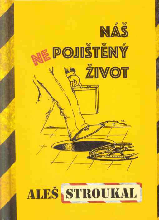 Náš (ne)pojištěný život