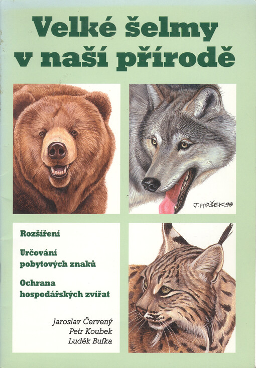 Velké šelmy v naší přírodě