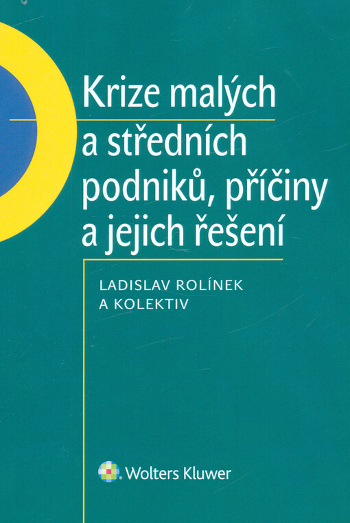 Krize malých a středních podniků, příčiny a jejich řešení