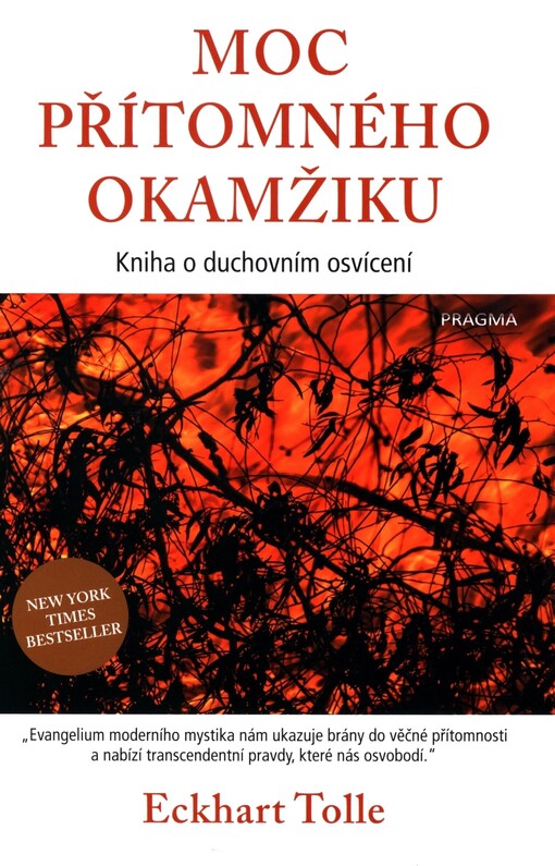 Moc přítomného okamžiku :kniha o duchovním osvícení, Vydání druhé