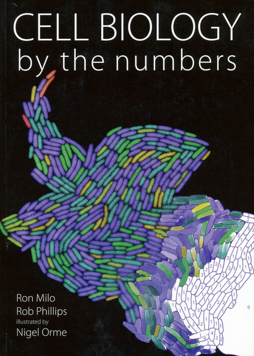 Cell biology by the numbers