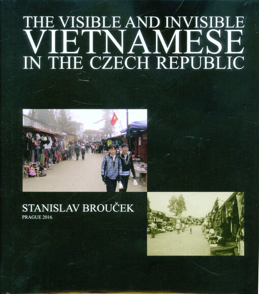visible and invisible Vietnamese in the Czech Republic: the problems of adaptation of the modern-day ethnic group in the local environment of the Czech majority