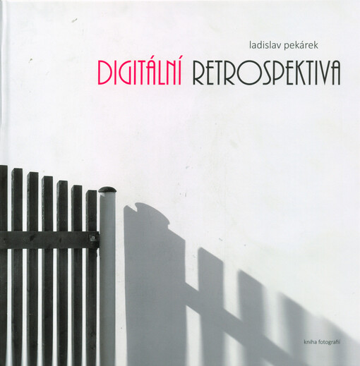 Digitální retrospektiva