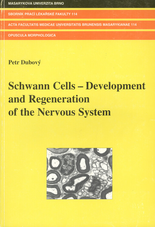 Schwann cells - development and regeneration of the nervous system = Schwannova buňka - vývoj a regenerace nervové soustavy