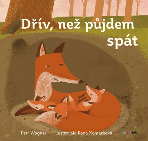 Dřív než půjdem spát