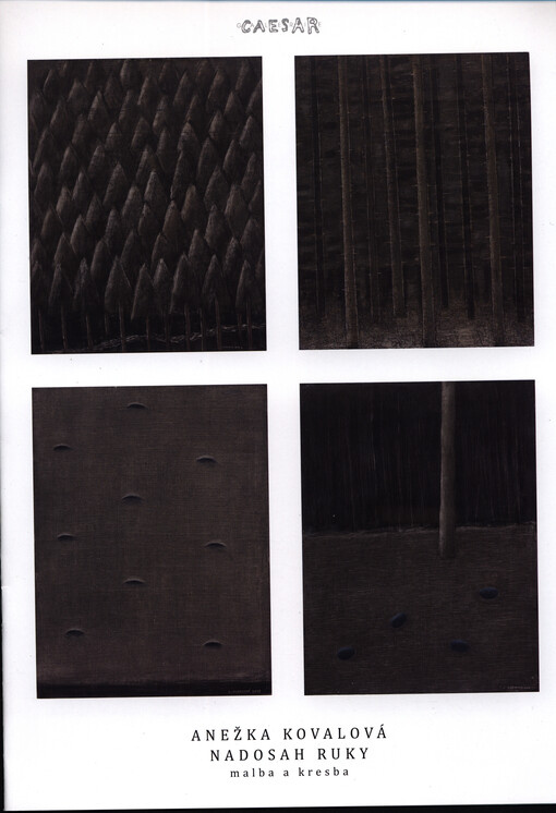 Anežka Kovalová :nadosah ruky : malba a kresba : [211. výstava Galerie Caesar, 2.7.-30.7.2009