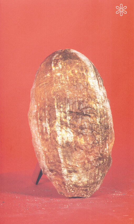 Anketa : publikace k výstavám v Galerii U dobrého pastýře v roce 2014