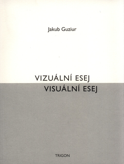 Vizuální esej / Visuální esej