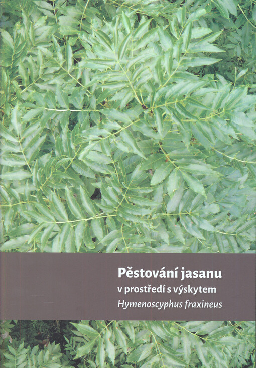 Pěstování jasanu v prostředí s výskytem Hymenoscyphus fraxineus