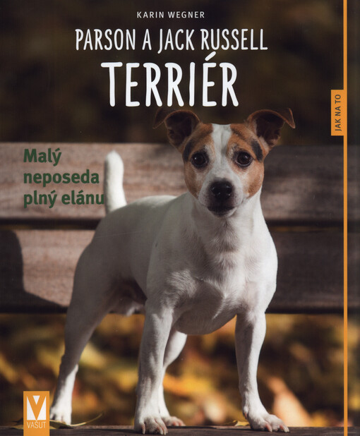 Parson a Jack Russel teriér