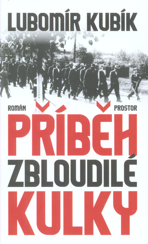 Příběh zbloudilé kulky