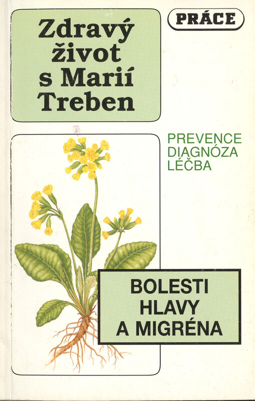 Bolesti hlavy a migréna: Prevence. Diagnóza. Léčba