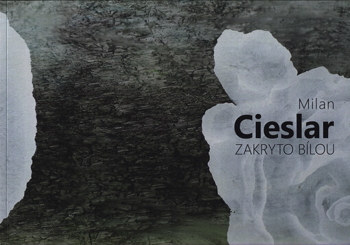 Milan Cieslar : zakryto bílou