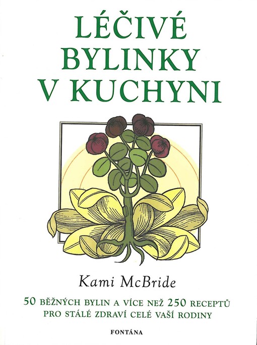 Léčivé bylinky v kuchyni