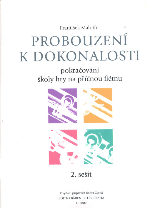 Probouzení k dokonalostipokračování školy hry na příčnou flétnu
