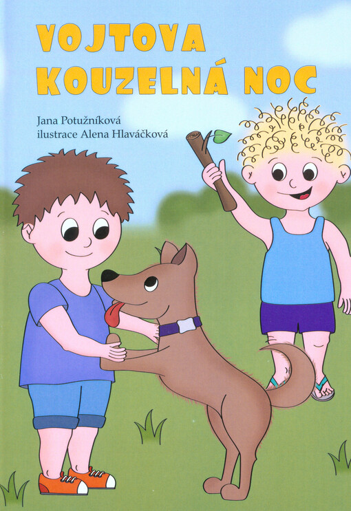 Vojtova kouzelná noc