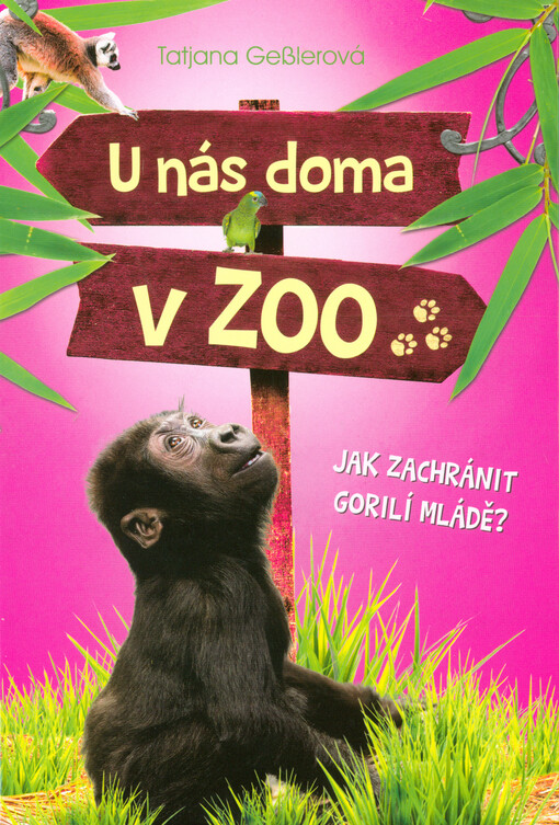 U nás doma v ZOO: Jak zachránit gorilí mládě