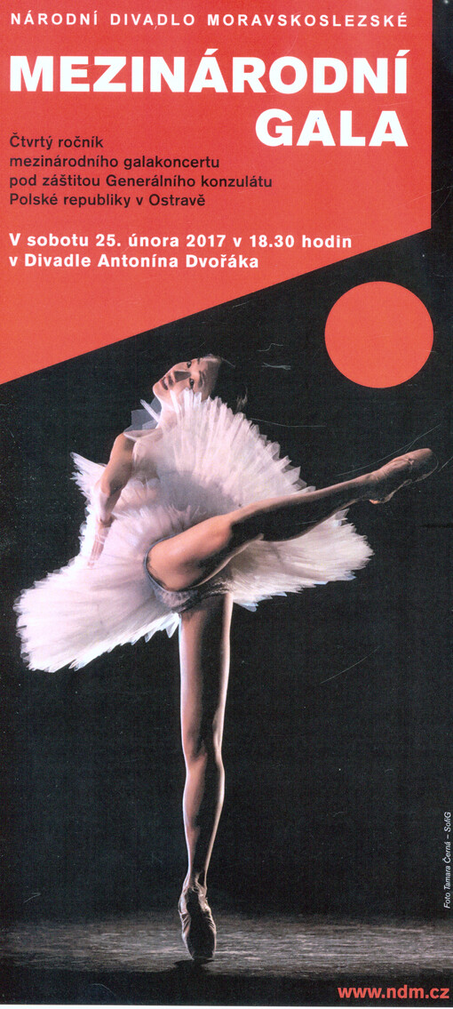 Mezinárodní gala : čtvrtý ročník mezinárodního galakoncertu : v sobotu 25. února 2017 v 18.30 hodin v Divadle Antonína Dvořáka