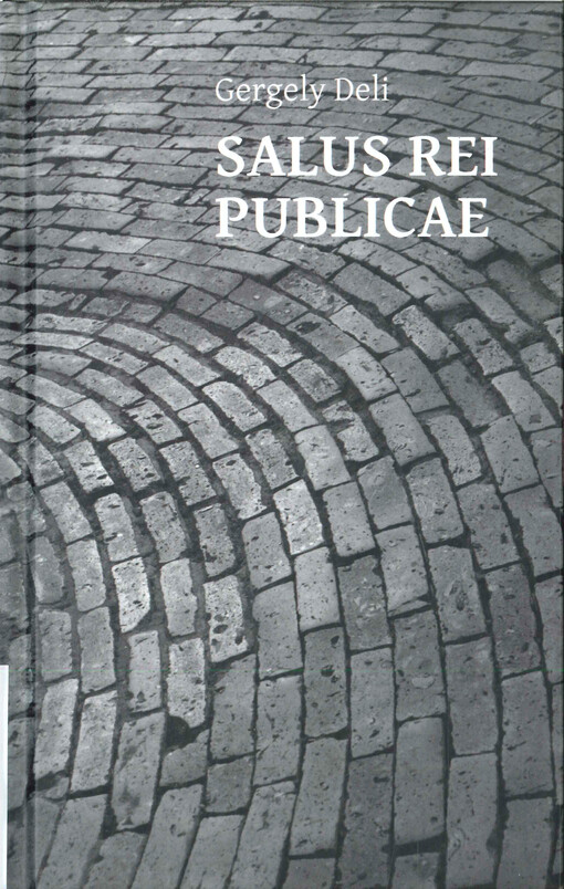 Salus rei publicae - als Entscheidungsgrundlage des römischen Privatrechts