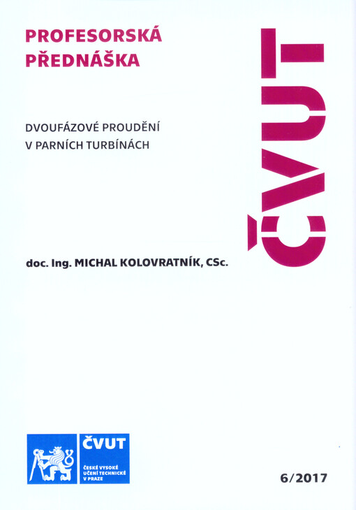 Dvoufázové proudění v parních turbínách = Two-phase flow in steam turbines