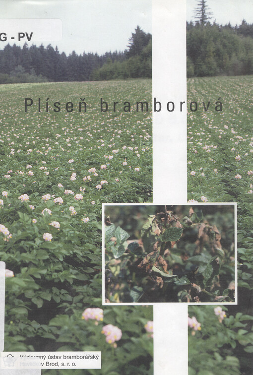 Plíseň bramborová