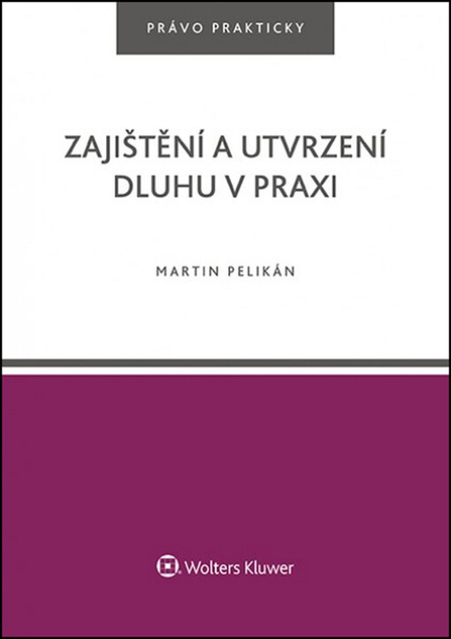 Zajištění a utvrzení dluhu v praxi