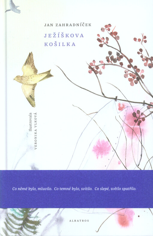 Ježíškova košilka