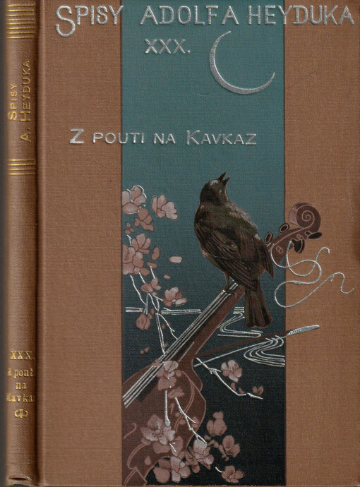 Z pouti na Kavkaz :1885