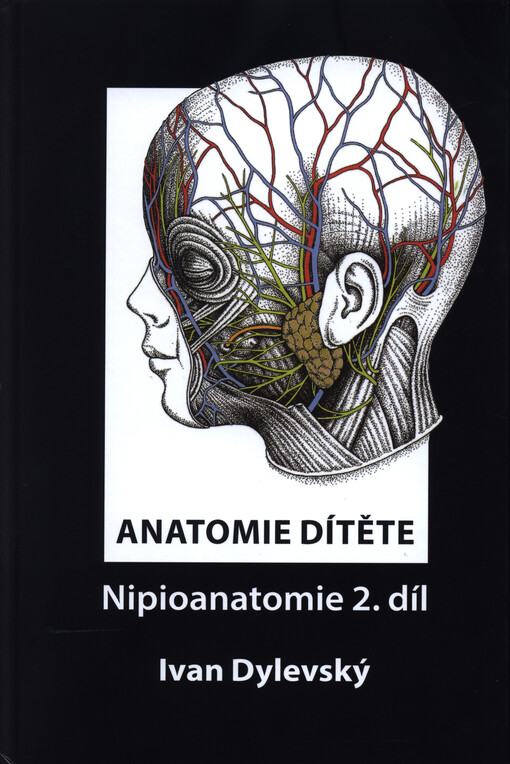 Anatomie dítěte