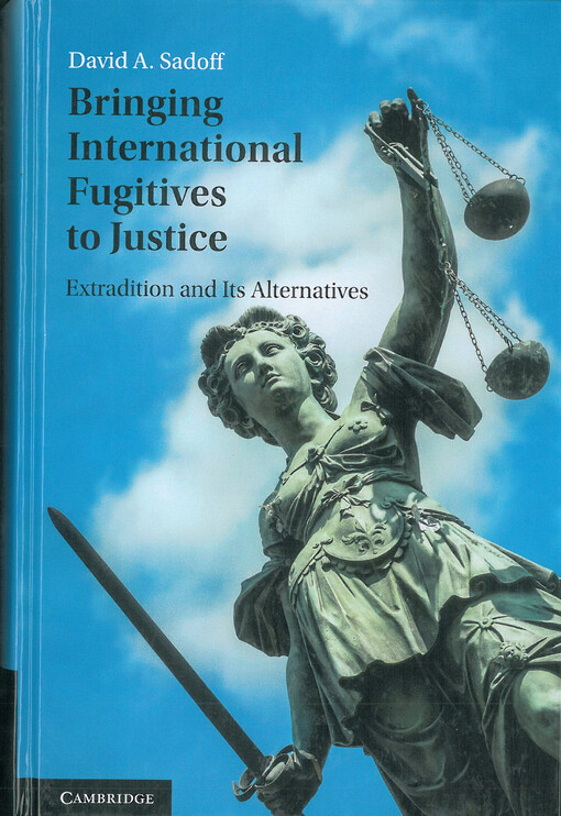 Engaging with social rights : procedure, participation and democracy in South Africa's second wave