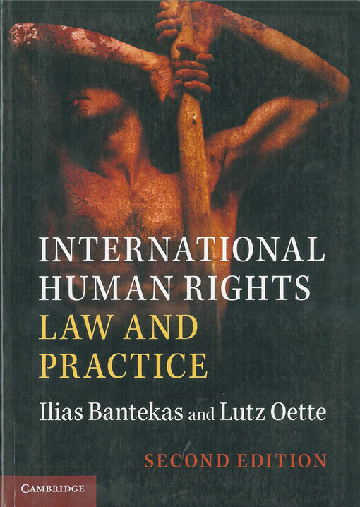 International human rights law and practice