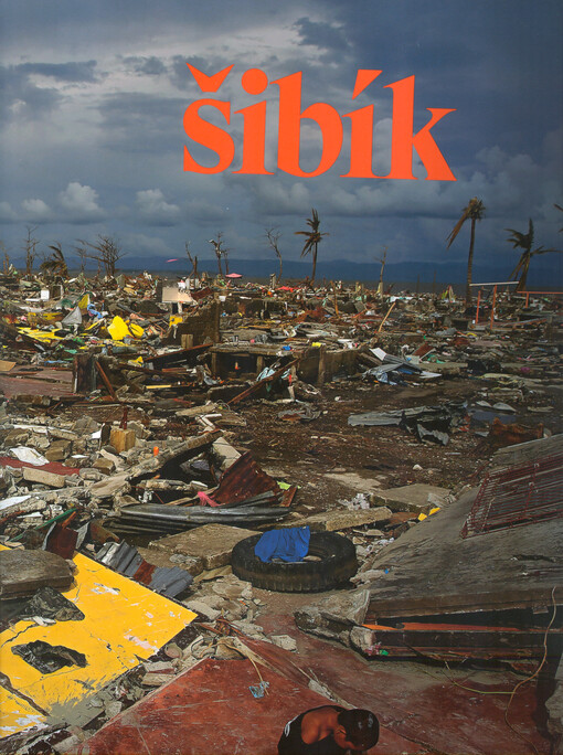 Jan Šibík : Deset let = Ten years