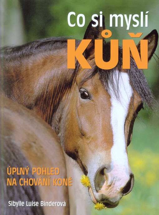 Co si myslí kůň