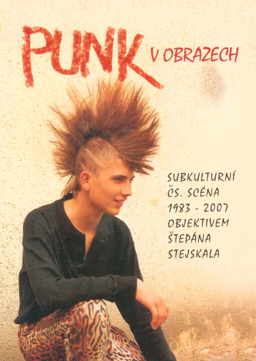 Punk v obrazech : subkulturní čs. scéna 1983-2007 objektivem Štěpána Stejskala