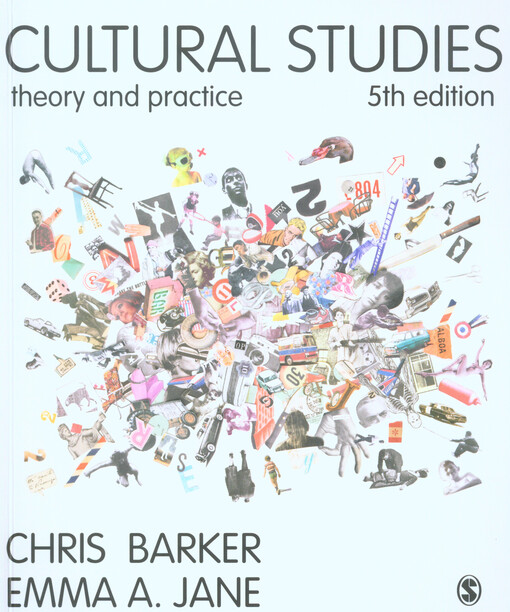 Cultural studies : theory and practice