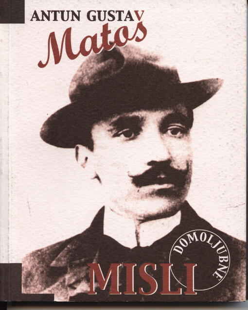 Domoljubne misli : o naciji i politici