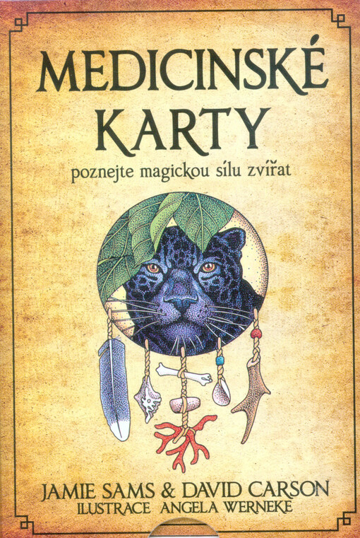 Medicinské karty