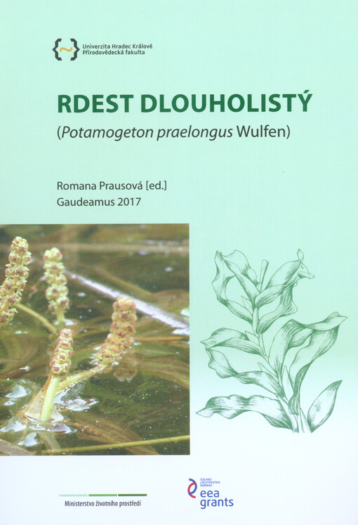 Rdest dlouholistý