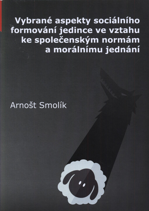 Vybrané aspekty sociálního formování jedince ve vztahu ke společenským normám a morálnímu jednání